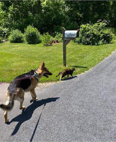 Pawsitively Happy Tails