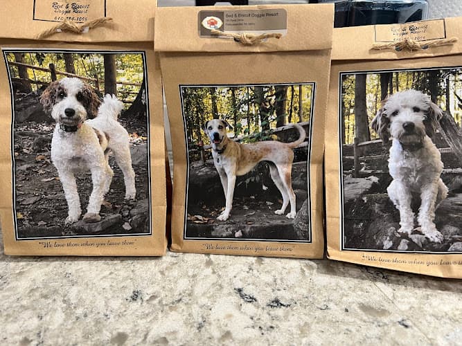 Bed and Biscuit Doggie Resort logo