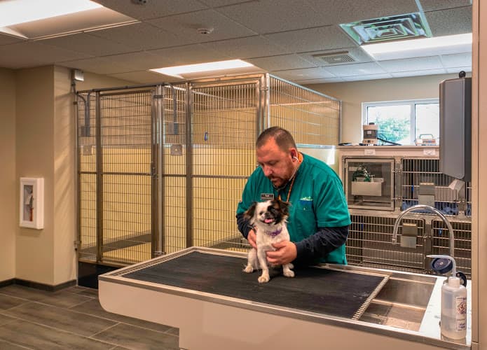 Gilbertsville Veterinary Hospital logo