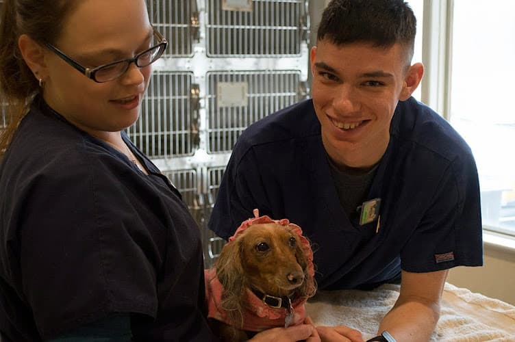 Coventry Animal Hospital logo