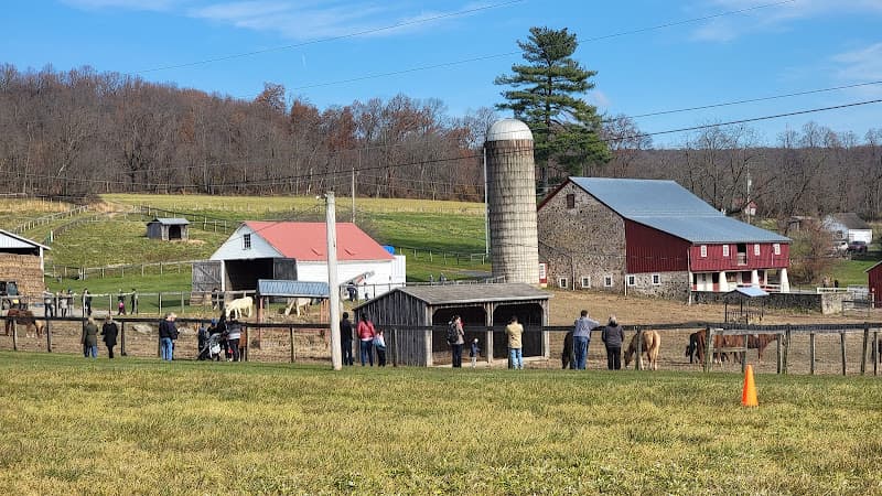 Ryerss Farm for Aged Equines logo