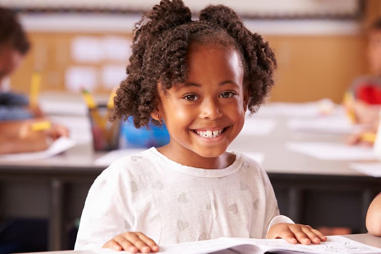 Spring Lane Learning LLC logo