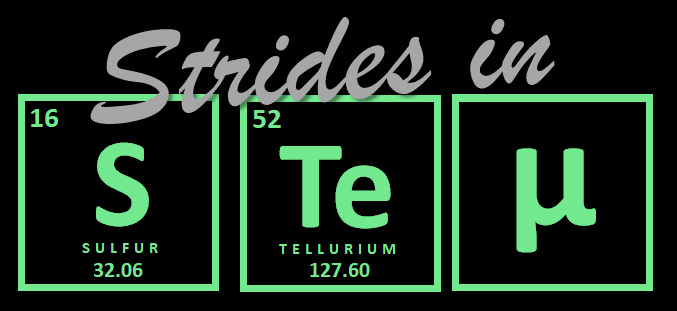 Strides in STEM Logo