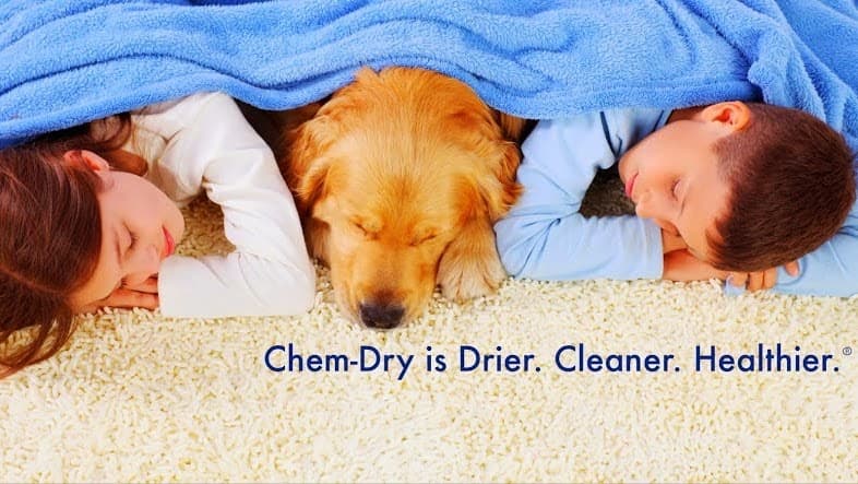 Chem-Dry by the Millers logo