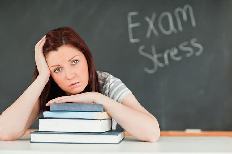 Club Z! In-Home & Online Tutoring of Phoenixville, PA logo