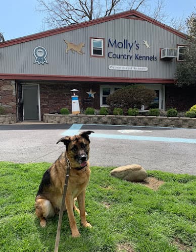 Molly's Country Kennels Inc logo