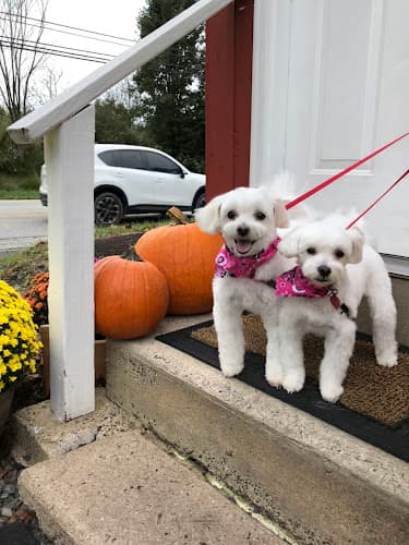 Yoshiko Professional Grooming logo