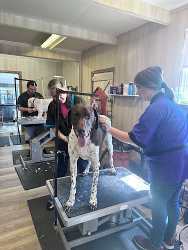 Old English Grooming logo