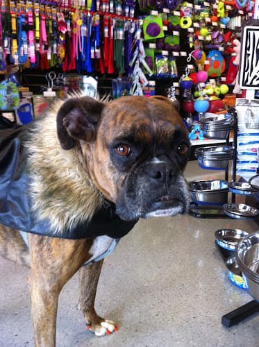 Bark Ave Pet Supplies logo