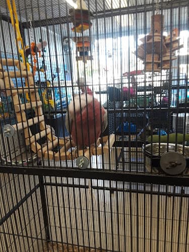 Fins Feathers Paws & Claws logo