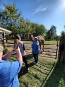 Rose Bridge Farm logo