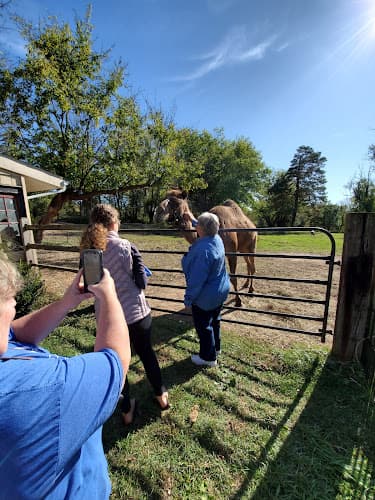 Rose Bridge Farm Logo
