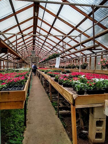 Taddeo's Greenhouses logo