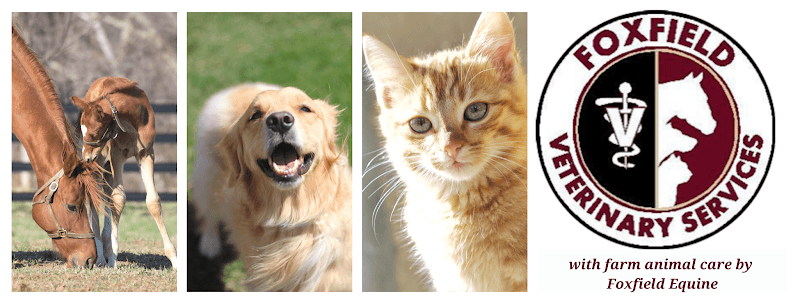 Foxfield Veterinary Services logo