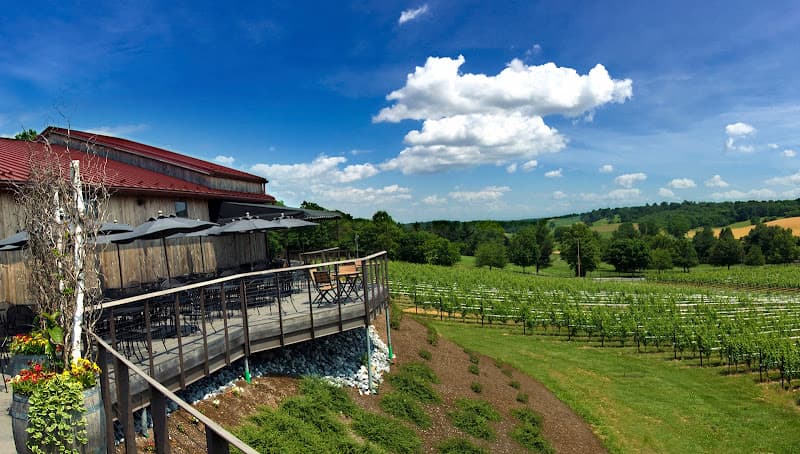 Grandview Vineyard logo