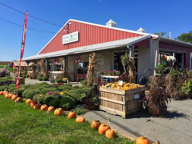 Risser Marvel Farm Market logo