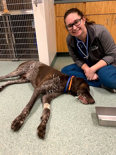 Annville-Cleona Veterinary Associates, Inc. logo