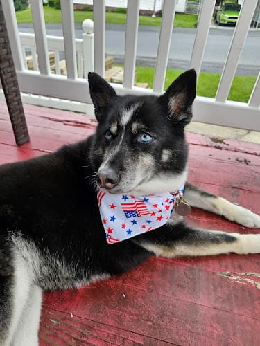 Fox Breeze Kennel & Grooming, INC. logo