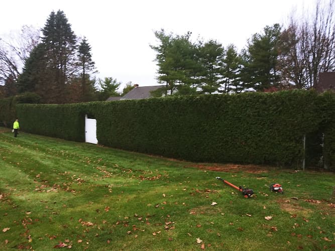 Prodigal Landscaping & Property Maintenance logo