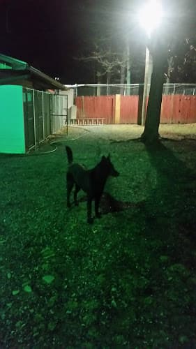 Kind Hearted Pet Resort, LLC logo