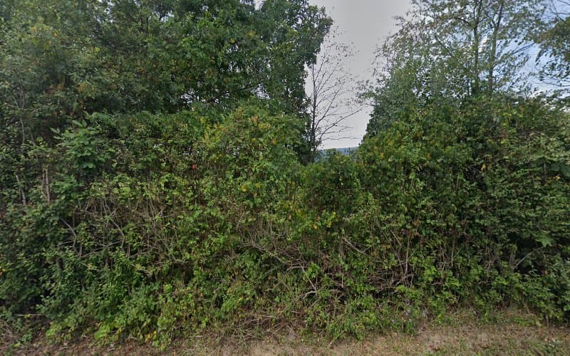 B & D Country Kennel logo