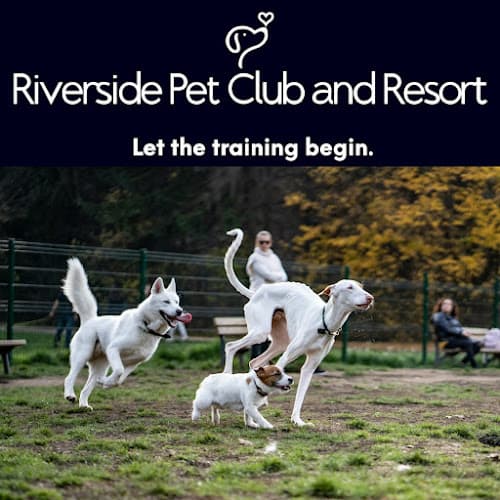 Riverside Pet Club and Resort logo