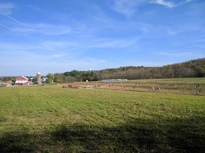 Banty Rooster Restaurant logo