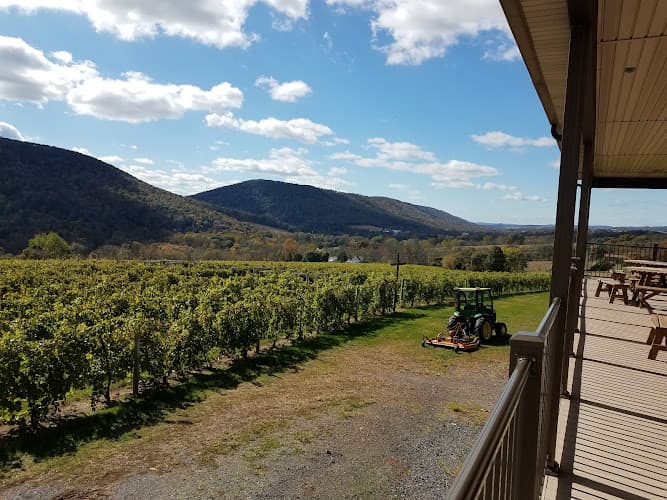 Benigna's Creek Vineyard & Winery logo