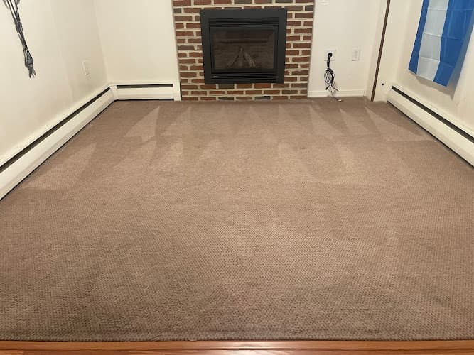 Oxi Fresh Carpet Cleaning logo