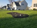 CG Landscaping logo
