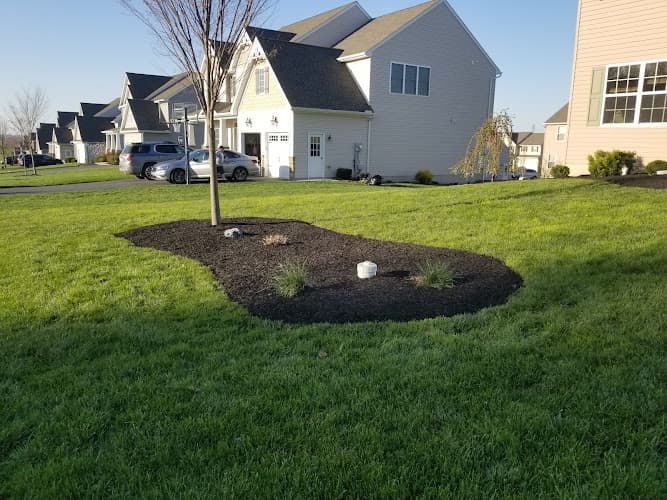 CG Landscaping logo