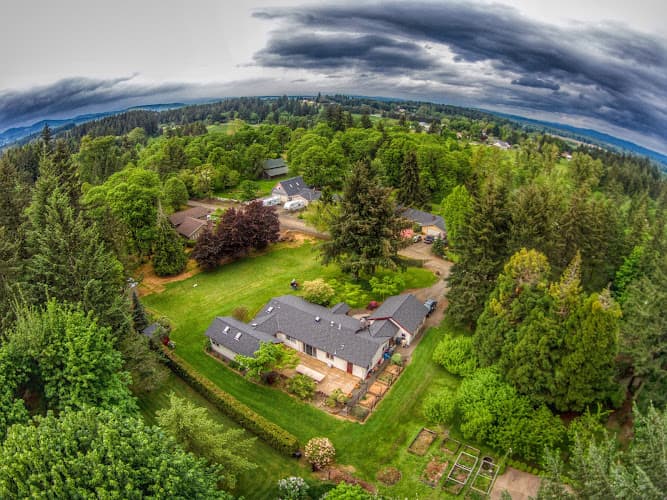 Aerial and Drone Services of Reading logo