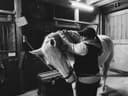 Dark Horse Equine Massage logo