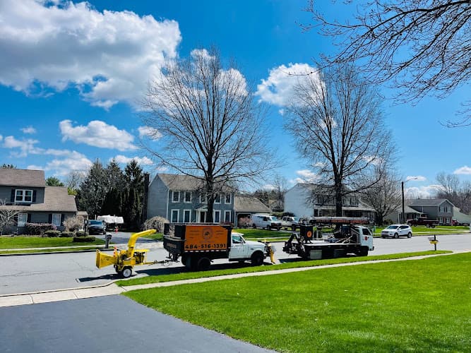 Lumberjays Landscaping Tree Services