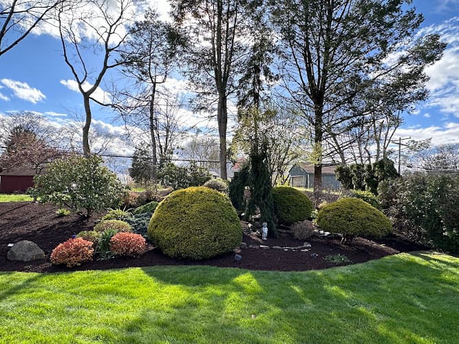 Rigos Landscaping logo