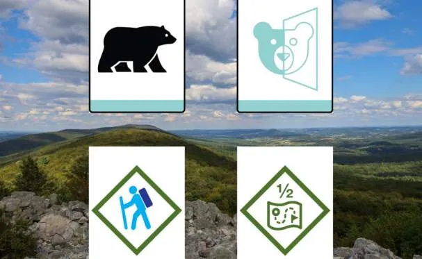 Cub Scout Merit Badge Day: Bears and Webelos