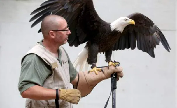 Eagle Day