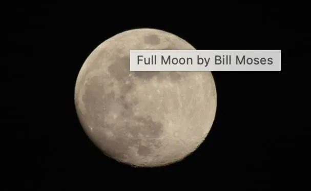 Moon Glow Trick or Treat Trail