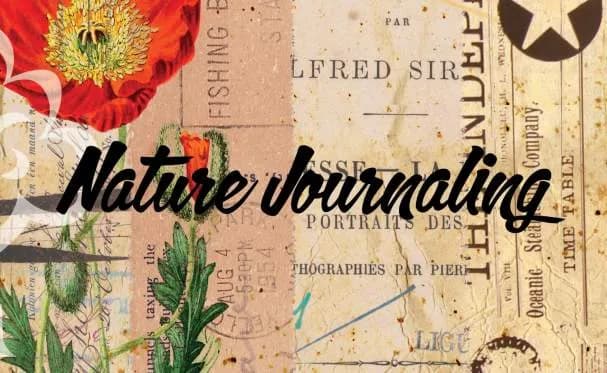 Nature Journaling