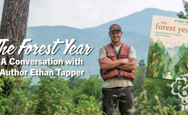 The Forest Year: A Conversation with Author Ethan Tapper