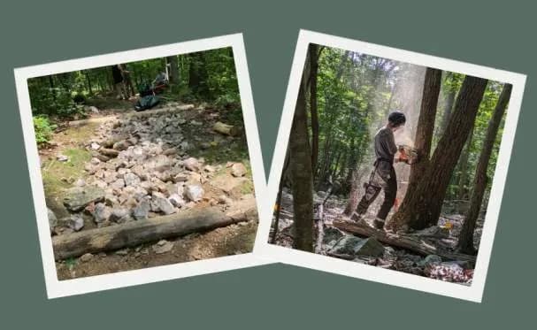 Trail and Forest Road Maintenance as Forest Management