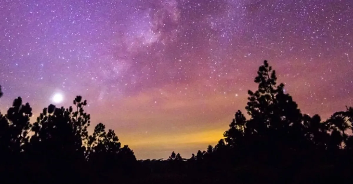 Yoga Under The Stars - Fall Series 1, Week 2