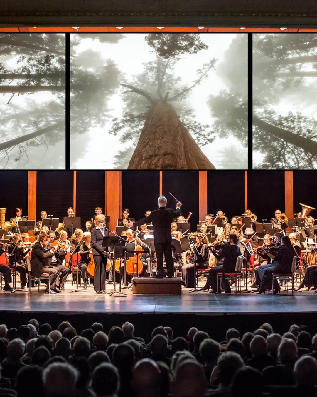 Berks In Focus: Symphony Of A Thousand Images