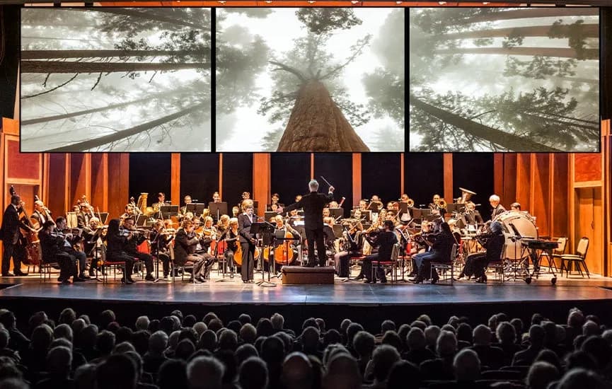 Reading Symphony Orchestra