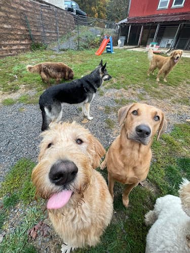 Kimbertal Kennels - Phoenixville, PA 19460 - BerksConnect